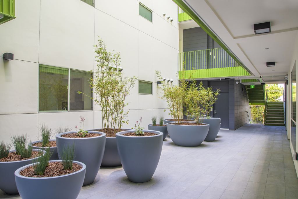Landscaped ground-floor courtyard with planters and aluminum windows set into white facade panels, Studio City